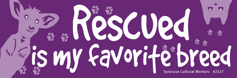 Small Sticker - Rescued is my favorite breed