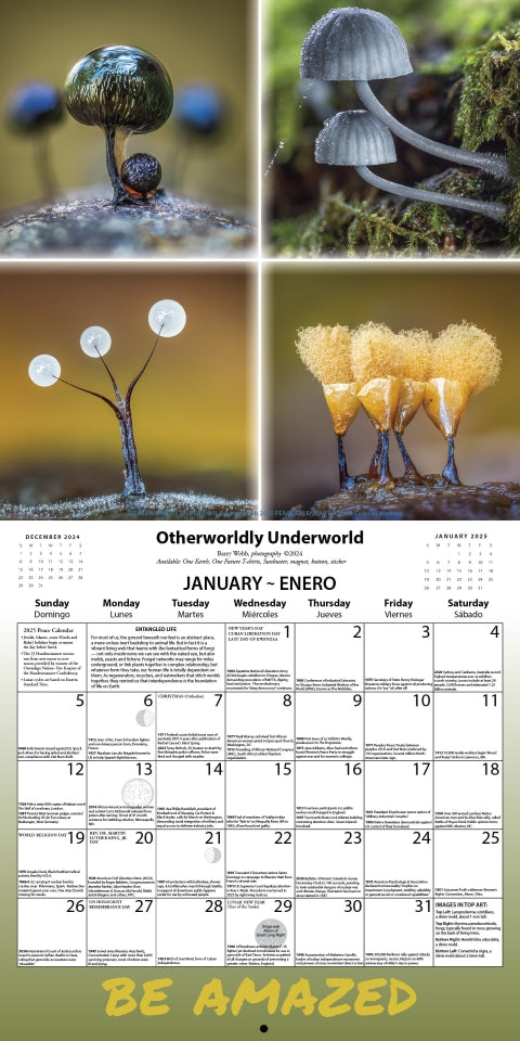 2025 Peace Calendar