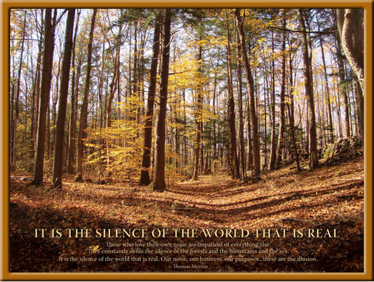 Poster - Silence Of The World