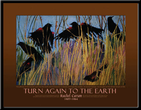 Poster - Rachel Carson - Turn Again to the Earth