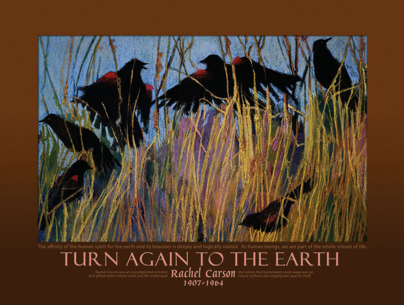 Poster - Rachel Carson - Turn Again to the Earth