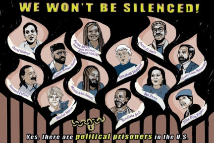 Poster - Political Prisoners in USA