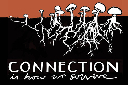 Postcard - Connection is How We Survive
