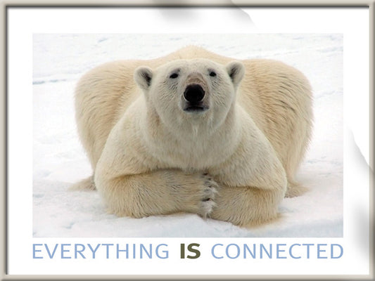 Poster - Polar Bear-Everything IS Connected
