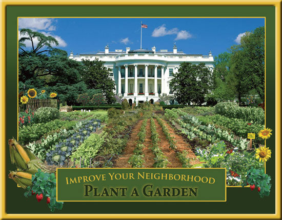 Poster - White House Vegetable Garden