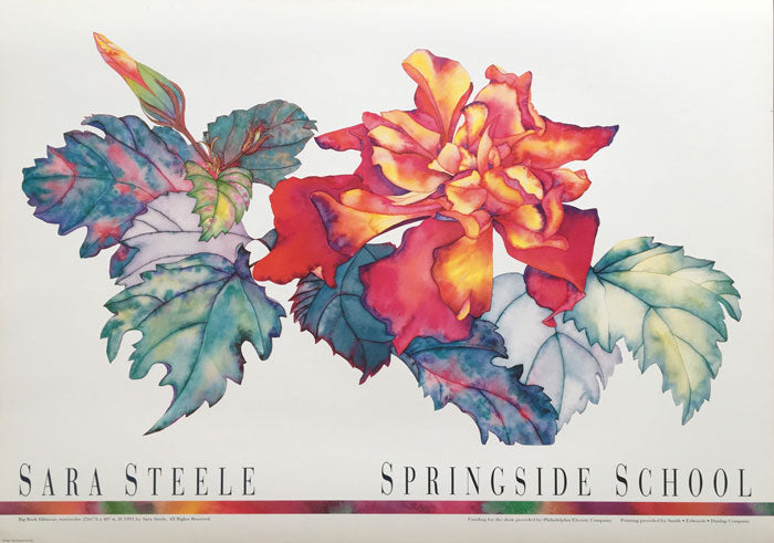 Poster - Big Rock Hibiscus - Springside School - Sara Steele