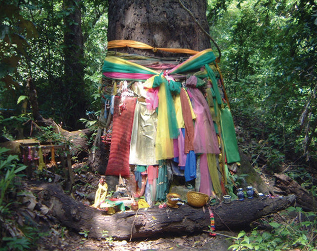 Notecard - Prayer Tree