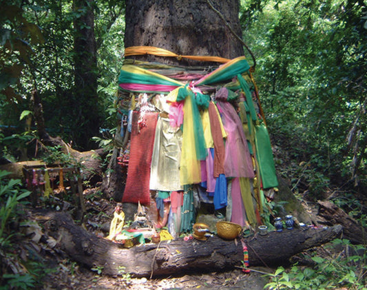 Notecard - Prayer Tree