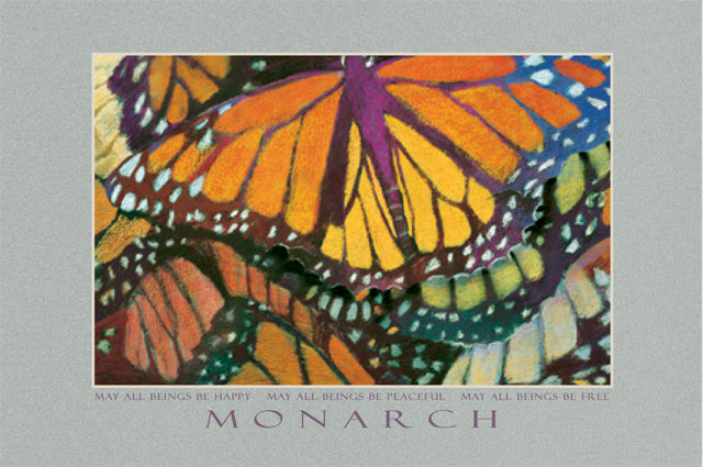 Greeted Card - Monarch - "Thank You" - Individual
