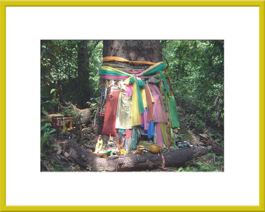 Framed Small Print - Prayer Tree