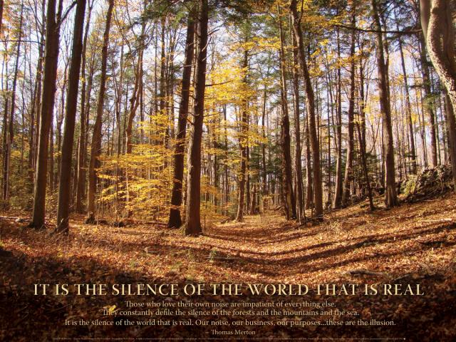 Notecard - Silence Of The World