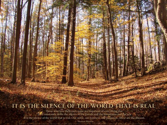 Notecard - Silence Of The World