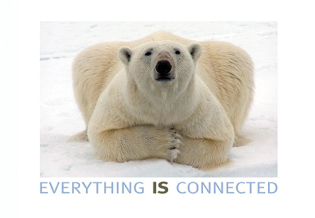 Postcard - Polar Bear - Everything IS Connected