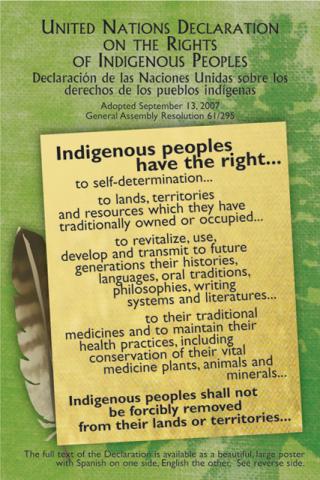 Postcard - United Nations Declaration On The Rights Of Indigenous Peoples