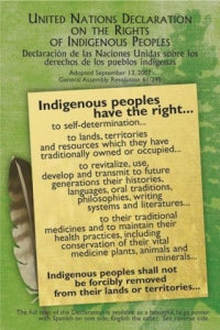 Postcard - United Nations Declaration On The Rights Of Indigenous Peoples
