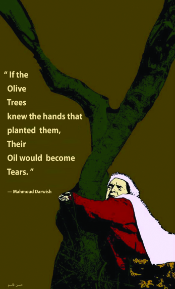 Postcard - Palestinian Olive Trees