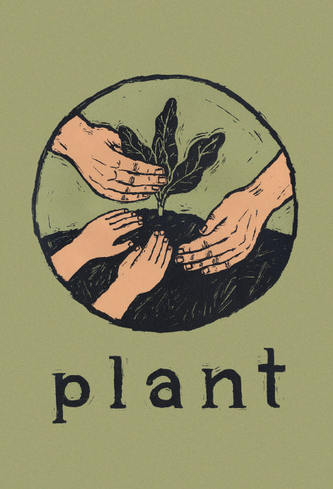 Postcard - Plant