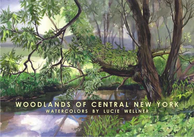 Gift Folio - Woodlands of Central New York by Lucie Wellner - Package of Six