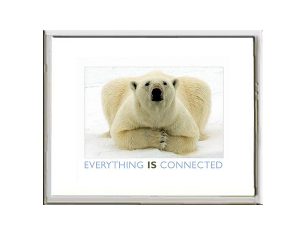 Framed Small Print - Polar Bear-Everything IS Connected