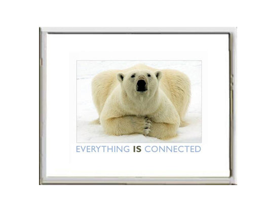 Framed Small Print - Polar Bear-Everything IS Connected