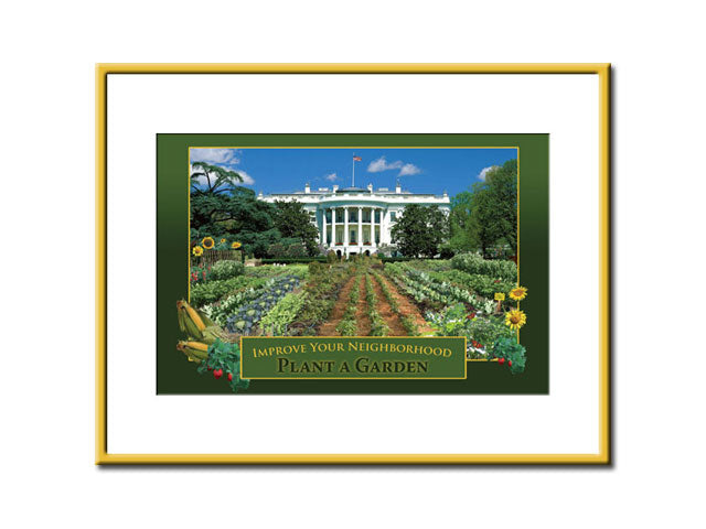 Framed Small Print - White House Vegetable Garden