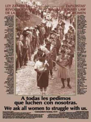 Notecard - Zapatistas Law