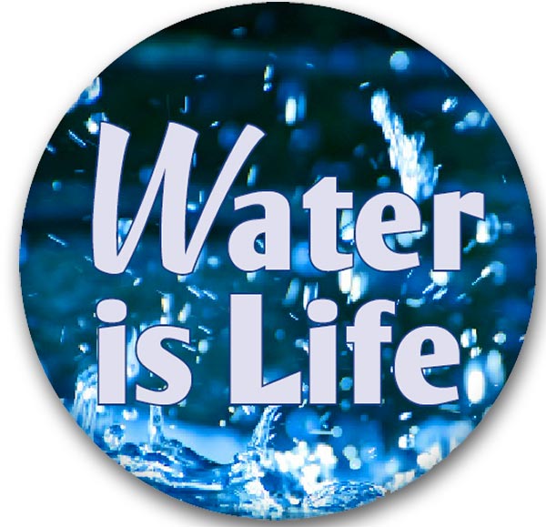 Button - Water is Life