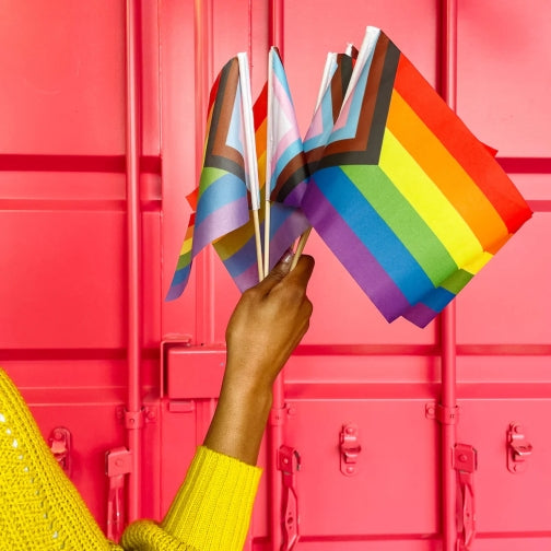 Flag - Progress Pride – Mini Flag