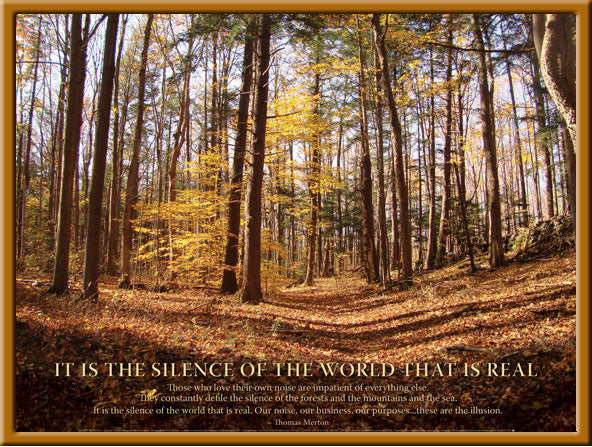 Poster - Silence Of The World