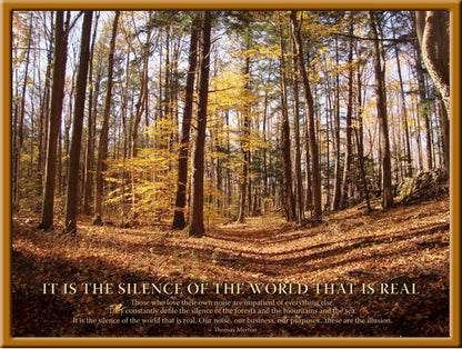 Poster - Silence Of The World