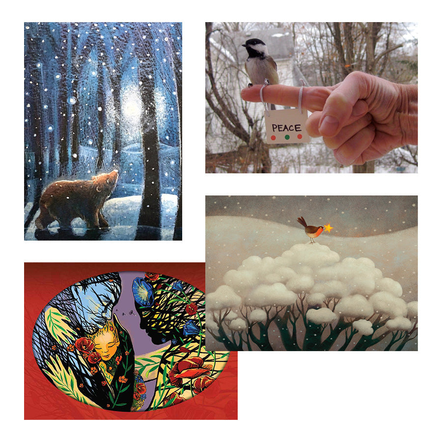 2024 Holiday Card Sampler Syracuse Cultural Workers