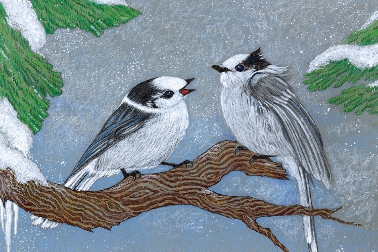 Holiday Card - Winter Friends