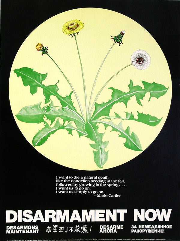 Poster - Disarmament Now