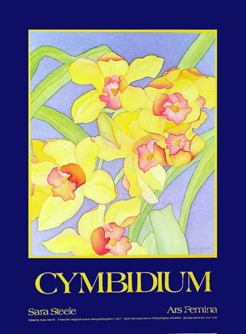 Poster - Cymbidium