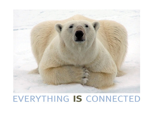 Poster - Polar Bear-Everything IS Connected