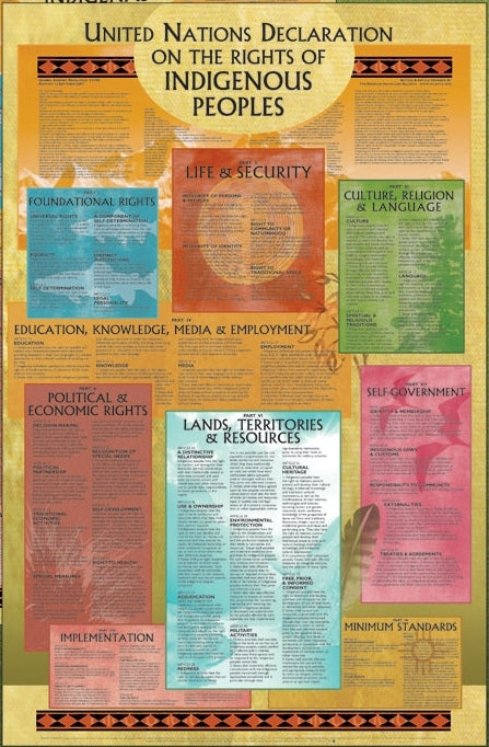 Indigenousp Rights Drawing Poster - UN Declaration on the Rights of Indigenous Peoples – Syracuse ...