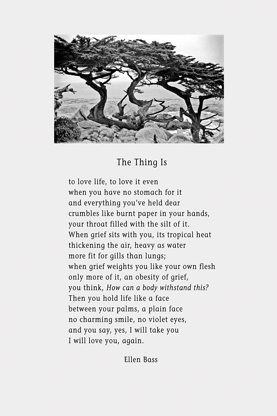 Poster - The Thing Is