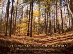 Poster - Silence Of The World