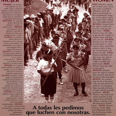 Zapatistas Law