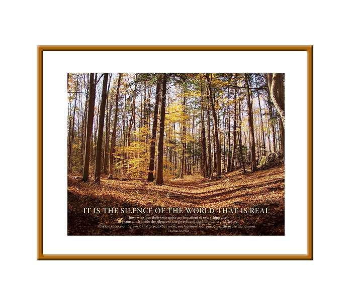 Framed Small Print - Silence Of The World