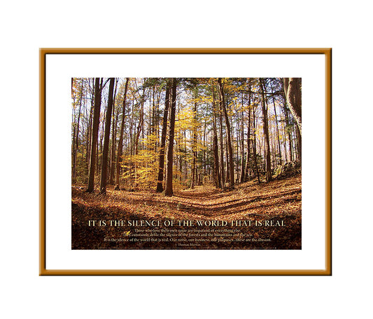 Framed Small Print - Silence Of The World