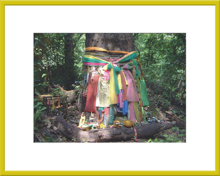 Prayer Tree – Syracuse Cultural Workers