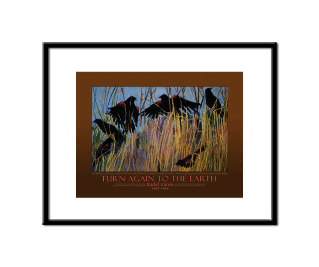 Framed Small Print - Rachel Carson - Turn Again to the Earth