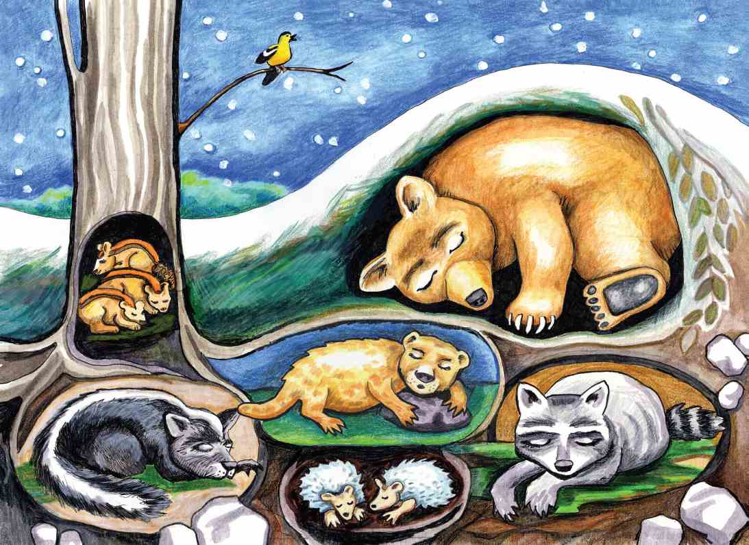 Holiday Card - Winter Night