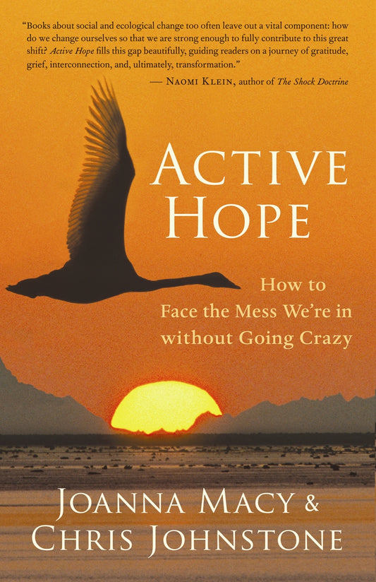 Book - Active Hope
