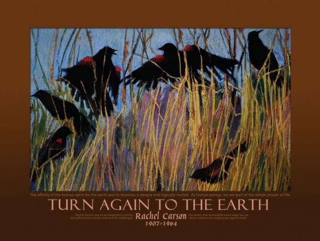 Notecard - Rachel Carson - Turn Again to the Earth