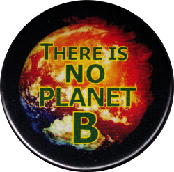 Button - There is no Planet B